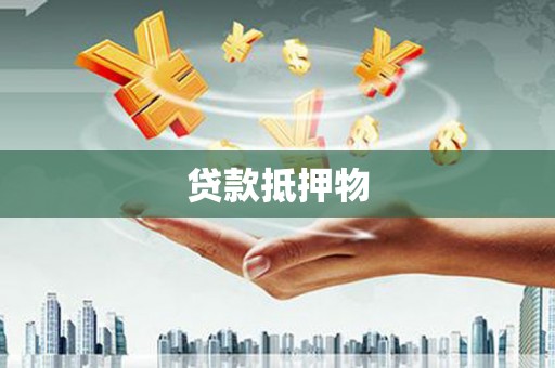 中宁贷款抵押物