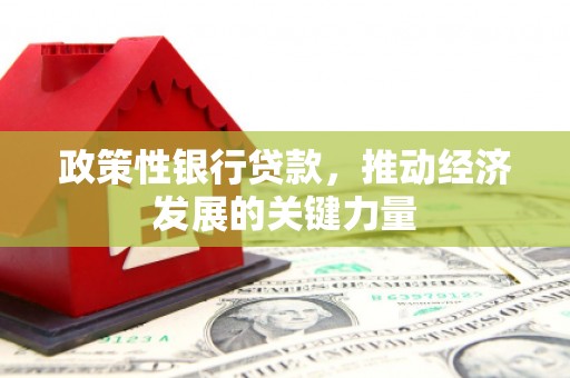 崁顶政策性银行贷款，推动经济发展的关键力量