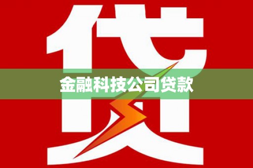 昭阳金融科技公司贷款