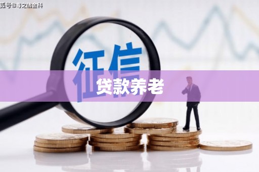 宿州贷款养老