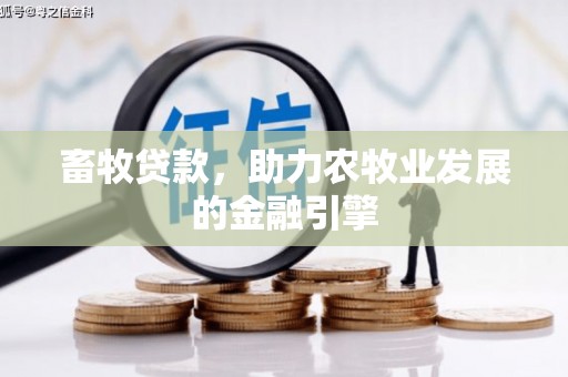 泽库畜牧贷款，助力农牧业发展的金融引擎