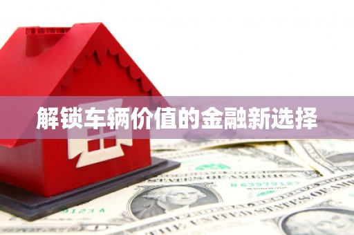 金塘解锁车辆价值的金融新选择