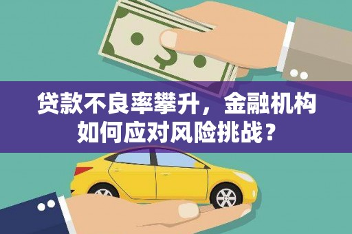 辛集贷款不良率攀升，金融机构如何应对风险挑战？
