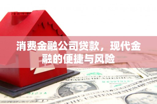 覃塘消费金融公司贷款，现代金融的便捷与风险