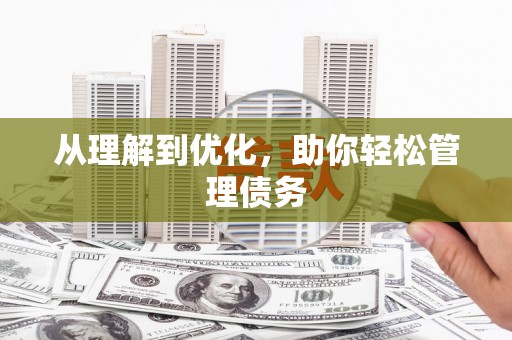 平舆从理解到优化，助你轻松管理债务