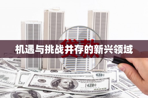 金溪机遇与挑战并存的新兴领域