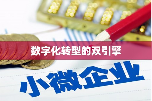 莎车数字化转型的双引擎