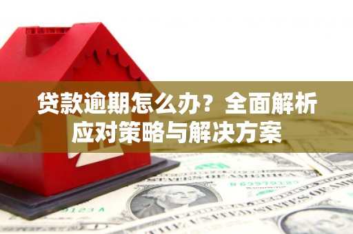 禅城贷款逾期怎么办？全面解析应对策略与解决方案