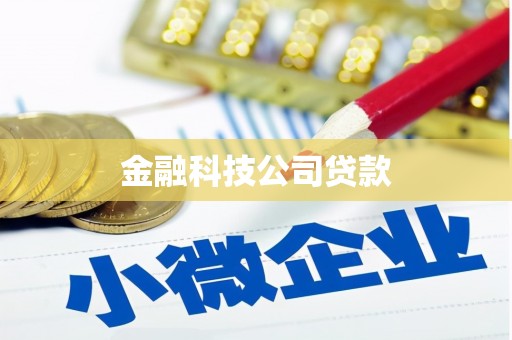 道里金融科技公司贷款