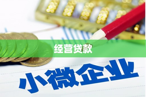 港南经营贷款