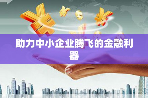 云和助力中小企业腾飞的金融利器