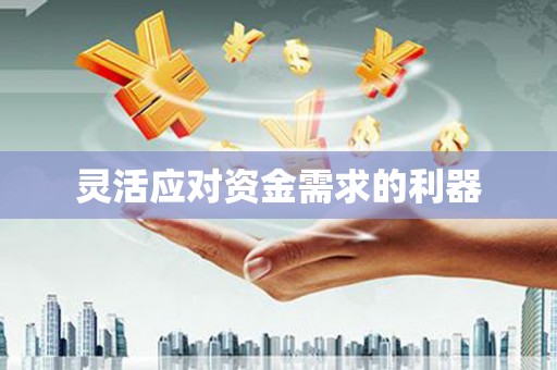 冀州灵活应对资金需求的利器