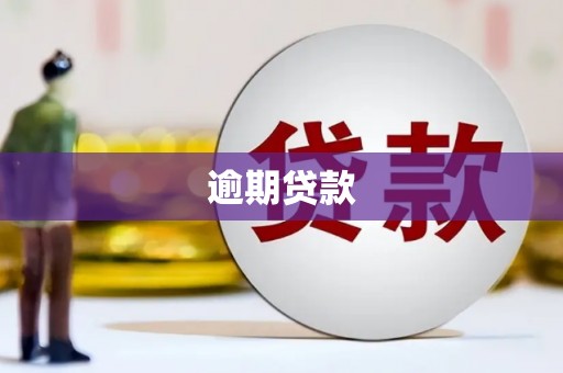泗阳逾期贷款