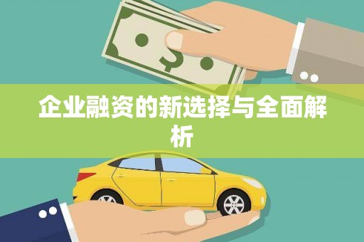 咸丰企业融资的新选择与全面解析