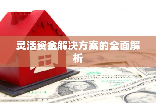 门源灵活资金解决方案的全面解析
