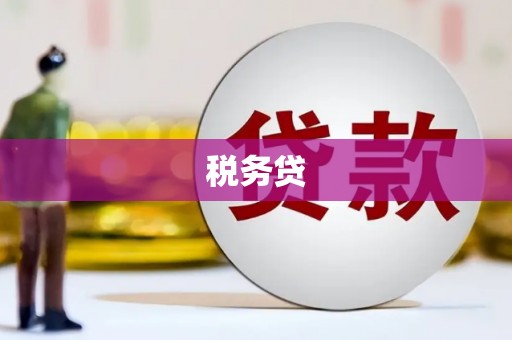 徽州税务贷
